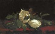 Martin Johnson Heade Magnolia Buds painting